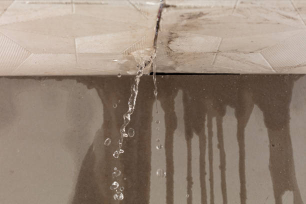 Professional Structural Drying technician working in Roseville, OH